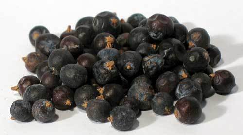 Jcs Juniper Berries, Packaging Size : Loose