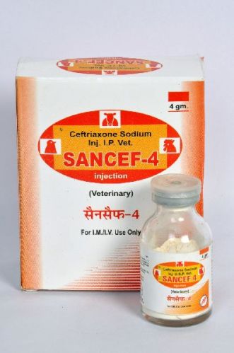 Sancef 4 Gm Injection, Form : Dry