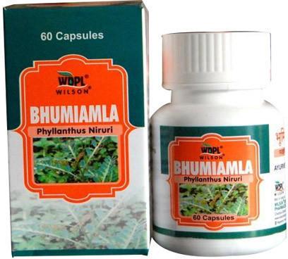 Bhumi Amla Capsules