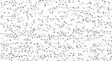 Celotex Fine Fissured Tiles