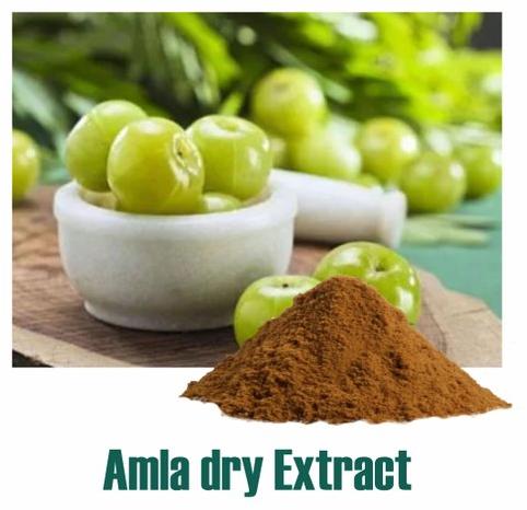 Amla Dry Extract, For Medicinal, Beauty, Packaging Size : 5-10kg