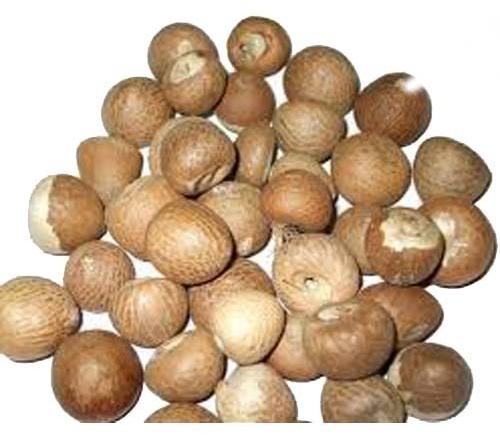 Whole Areca Nuts, Color : Brown