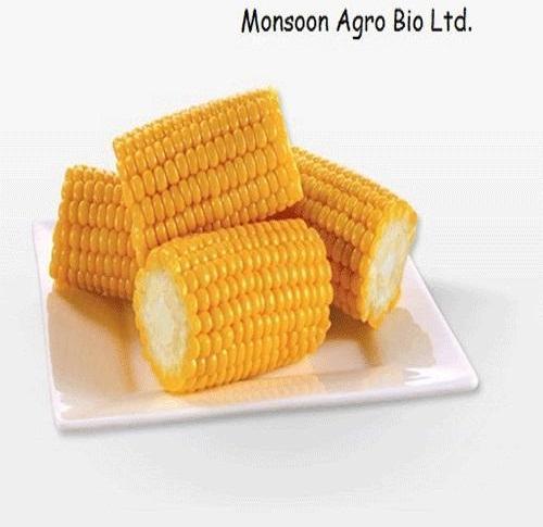 Frozen Corn Cob, Quality Available : A Grade