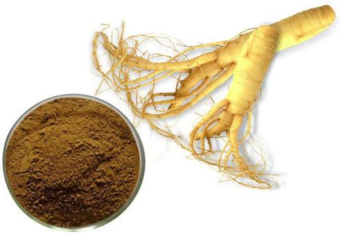 Ginseng Extract, Packaging Type : Drum