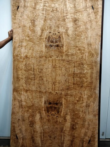 Venecia Burl Veneer, Color : Natural