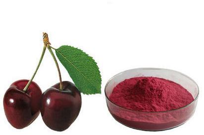 Black Cherries Extract, Packaging Type : Bag