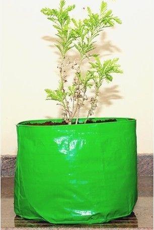 Grow Bags, Color : Green