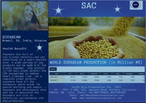 Common Soybean, Style : Dried, Fresh