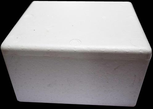 Thermocol Ice Box, Color : White
