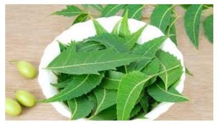 Aayush Food Dried Neem Leaves