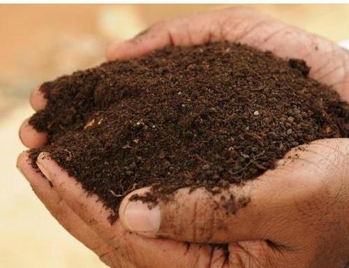 Organic Manure, Packaging Size : 50 Kg