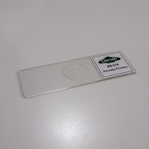 Hebansh Lab Biological Slide