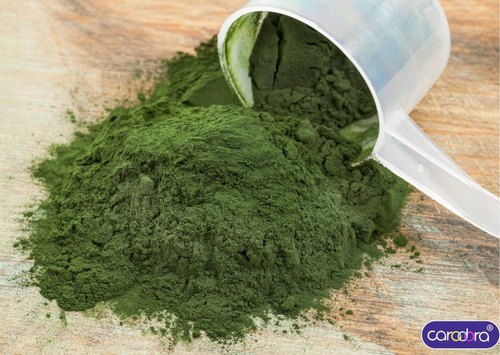 Spirulina Powder, Packaging Size : 25 Kg