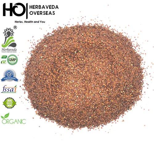 HERBAVEDA Lajwanti, Packaging Size : 5 Kg, 10 Kg 25 Kg