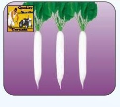 F1 Cross White Radish Seeds