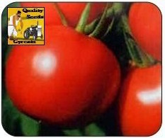 F1 Hemlata Tomato Seeds