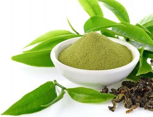 Msysar Green Tea Extract, Packaging Size : 25 Kg