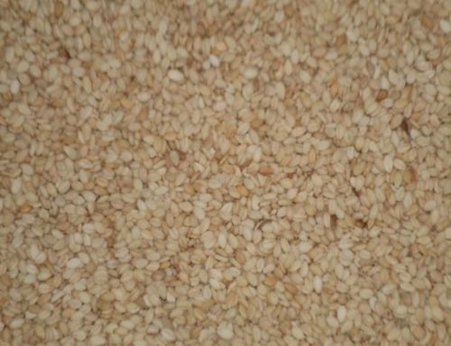 Organic Brown Sesame Seeds, For Agricultural, Purity : 99.99%