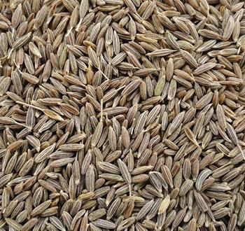 Organic Raw Cumin Seeds, Feature : Improves Acidity Problem, Improves Digestion