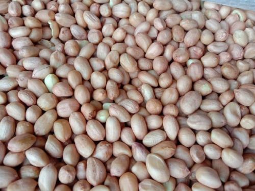 Raw Peanut Kernels, Packaging Type : Plastic Packet