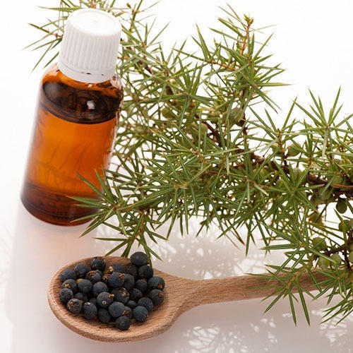 Organic Juniper Berry Oil, For Cosmetic Uses, Medical Uses, Grade : Pharma