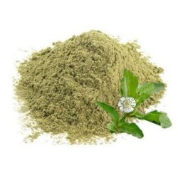 Bhringraj Powder, Feature : Long Shelf Life, Pure Quality