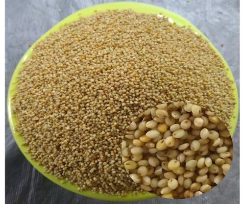 Fine Processed Organic Brown Top Millets, For Cooking, Feature : Natural Taste, Non Harmful
