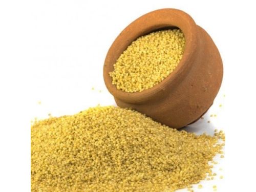 Fine Processed Organic Foxtail Millets, For Cooking, Feature : Gluten Free, Natural Taste, Non Harmful