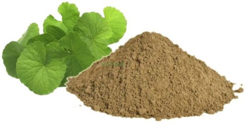 Natural Brahmi Powder, Feature : Pure Quality