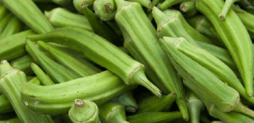 Organic Frozen Whole Baby Okra, For Cooking, Certification : FSSAI Certified