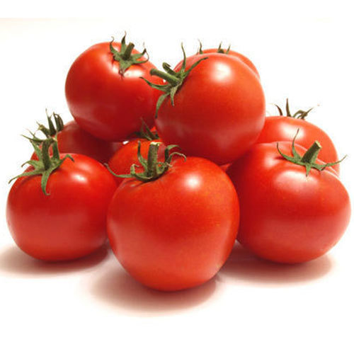 Rohan Enterprises Red Tomato, Shape : Round Oval