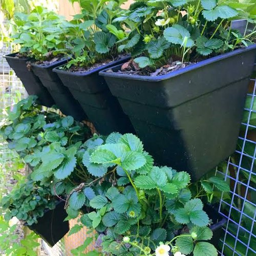 Plain Ceramic Garden Pots, Shape : Vertical