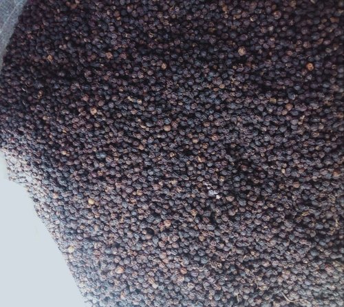 Organic Black Pepper, Packaging Type : Gunny Bag