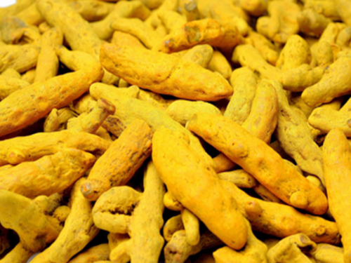 Sanam Turmeric Finger