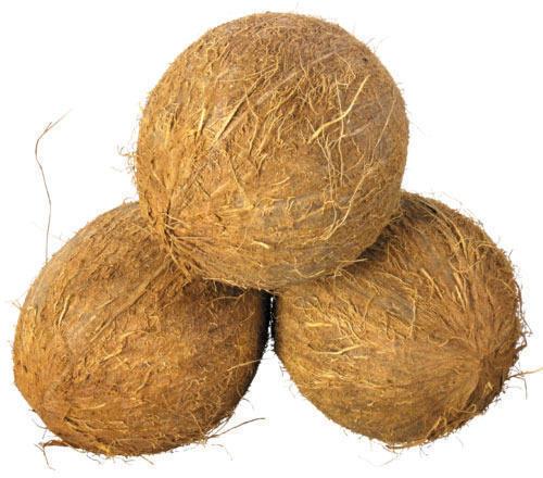 Organic Fully Husked Coconut, Color : Brown