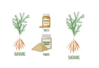 Ayurvedic Rejuvenating Tonic, Packaging Size : 50gm, 250gm, 1kg, 5kg