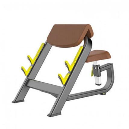 MS Seated Preacher Curl