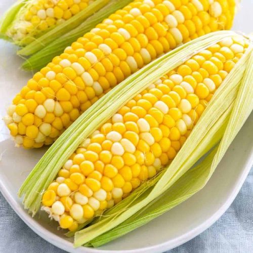 Fresh Corn