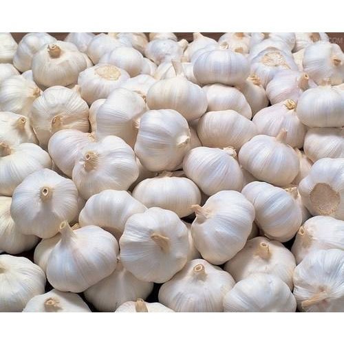 Organic Fresh Garlic, Packaging Type : Plastic Bags