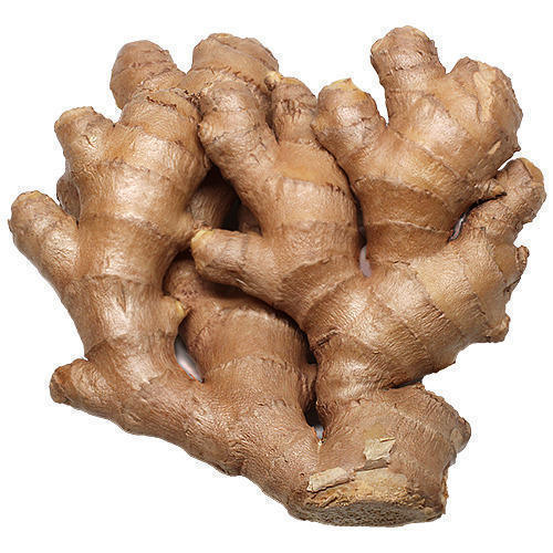 Organic Fresh Ginger, Packaging Type : Gunny Bags, Jute Bags, Plastic Packet