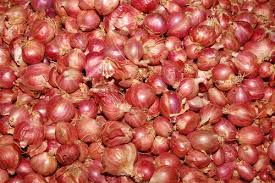 Organic Small Red Onion, For Cooking, Feature : Good Purity, High Quality