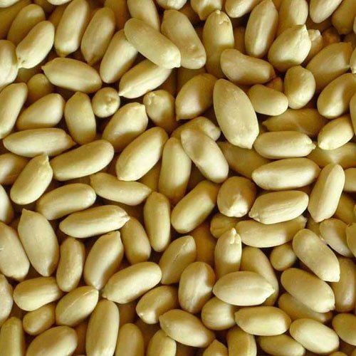 Blanched Bold Peanuts, For Direct Consumption, Home, Industrial, Restaurant, Feature : Fine Taste