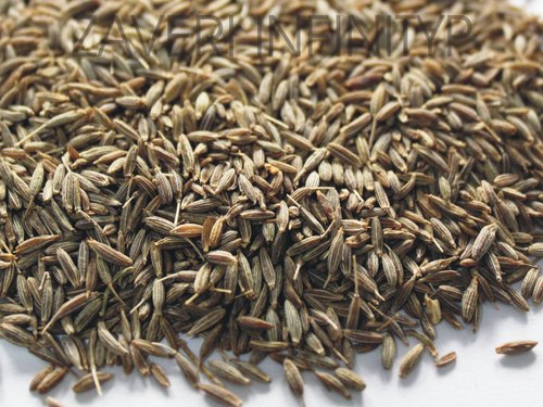 Raw Organic Gulf Quality Cumin Seeds, Packaging Type : Plastic Packet