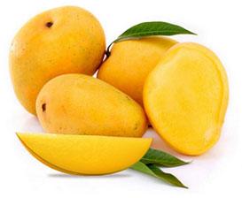 Organic Alphonso Mango, For Direct Consumption, Feature : Bore Free, Fressness, Good In Taste