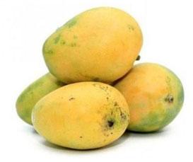 Organic Banganapalli Mango, For Direct Consumption, Food Processing, Juice Making, Color : Light Yellow