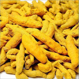 Cuddapah Turmeric Bulb, For Food Medicine, Packaging Type : Plastic Packet