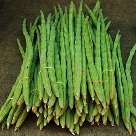 Dhanraj Drumsticks, Packaging Type : PP Bag