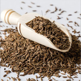 European Quality Cumin Seeds (99%)