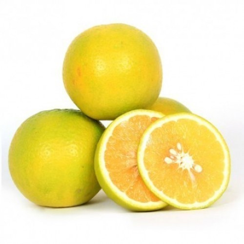 Fresh Sweet Lime, Taste : Sour