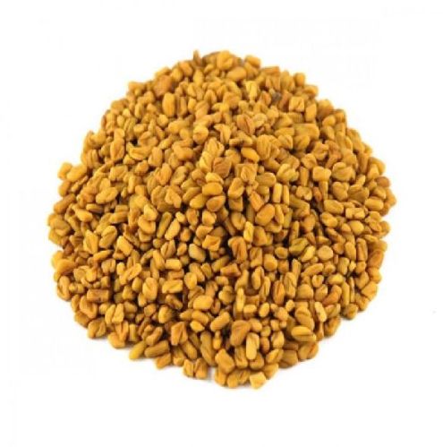 Regular Fenugreek Seeds
